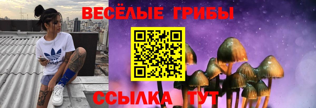 Галлюциногенные грибы Cubensis Краснокаменск